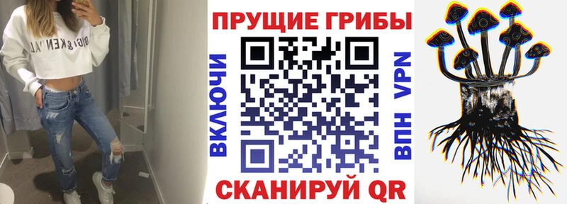 Галлюциногенные грибы мухоморы  купить  сайты  Гуково 