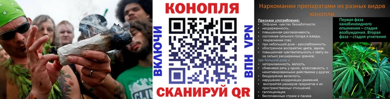 Шишки марихуана марихуана  где продают наркотики  Гуково 